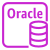 illustration of aws-q1-2025/Resource/Database/AmazonAuroraOracleInstance