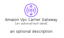 illustration for AmazonVpcCarrierGateway