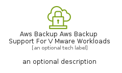 illustration for AwsBackupAwsBackupSupportForVMwareWorkloads