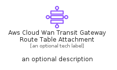 illustration for AwsCloudWanTransitGatewayRouteTableAttachment