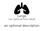 illustration for Lungs