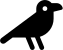 illustration of fontawesome/Solid/Crow