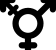 illustration of fontawesome/Solid/Transgender