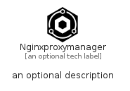illustration for Nginxproxymanager